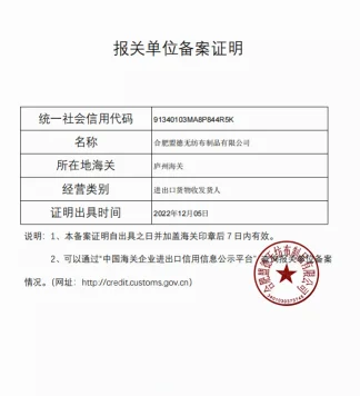 Export Registration at Customs