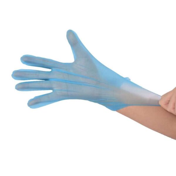 Clear Disposable TPE glove food glove