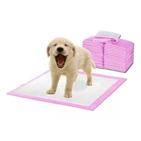 Pads para treinamento de filhotes